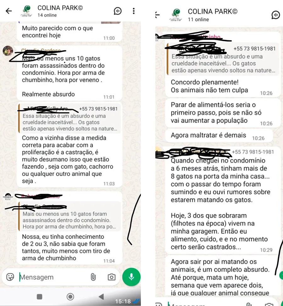 Crime no Colina Park: morte de 10 gatos por envenenamento deixa moradores revoltados