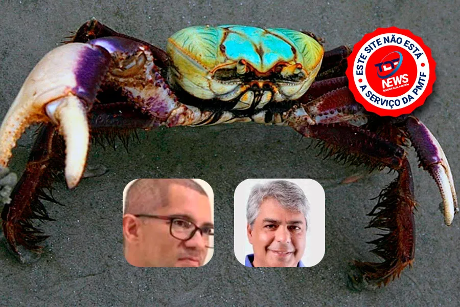 Não é ilegal, mas é imoral – o ciclo dos caranguejos políticos e o “cala a boca, Robinho”