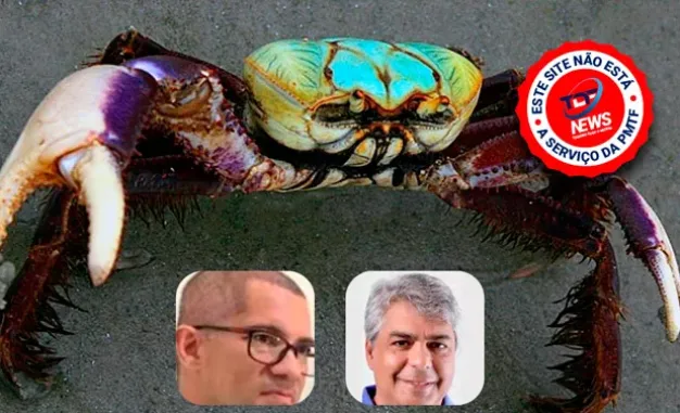 Não é ilegal, mas é imoral – o ciclo dos caranguejos políticos e o “cala a boca, Robinho”
