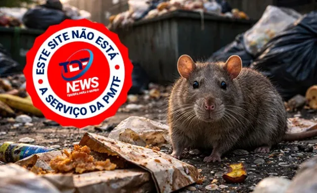 Ratos, baratas e urubus; os novos eleitores da Penélope e aliados